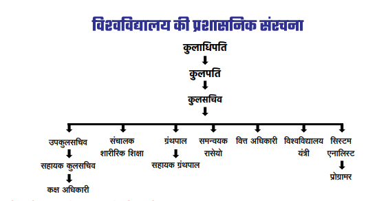 Organizational Structure